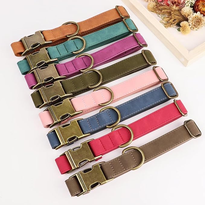 Didog Soft PU Leather Dog Collar, Stylish Quick Released Dog Collars for Medium Dogs, Easy Clean Adjustable Pet Collar for Daily Walking, Green, M Fit 13-21" Neck