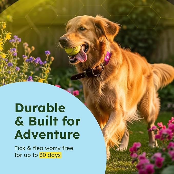 BugMD Paw Guardian Flea and Tick Prevention Pendant for Dogs with AirTag Holder | Plant-Powered Flea & Tick Control for Dog Collars Harnesses | Dog Tag with Air Tag Holder - Pink