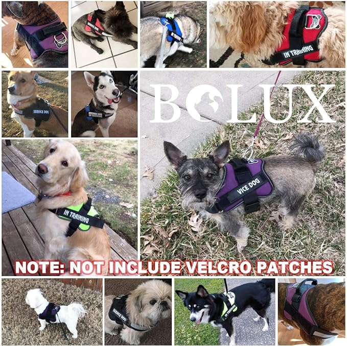 Bolux Dog Harness, No-Pull Reflective Dog Vest, Breathable Adjustable Pet Harness with Handle for Outdoor Walking - No More Pulling, Tugging or Choking (Blue, XS)