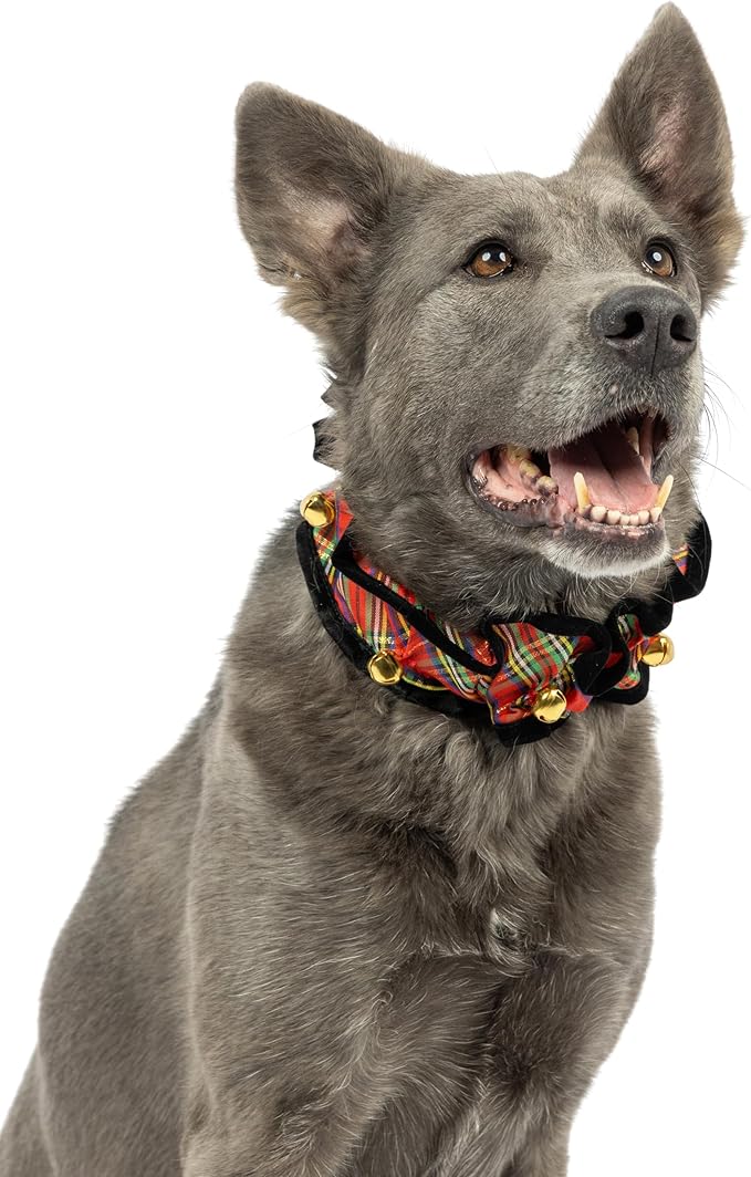 Huxley & Kent Ruff Pet Scrunchy | Shiny Christmas Plaid (Extra-Small) | Festive Christmas/Holiday Neckwear for Dogs/Cats | Fun Stretchable Costume Accessory | Soft Collar with Bells