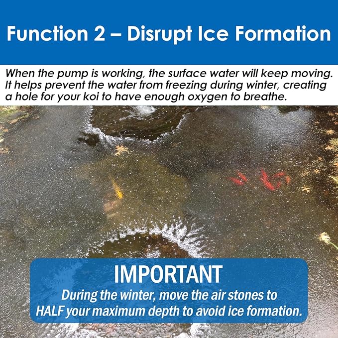 AquaMiracle All-in-One Koi Pond Aerator for Outdoor Ponds up to 1500 Gallons, Pond Air Pump Pond Aeration System with 2-Outlet Manifold Airline Tubing Air Stones Check Valves