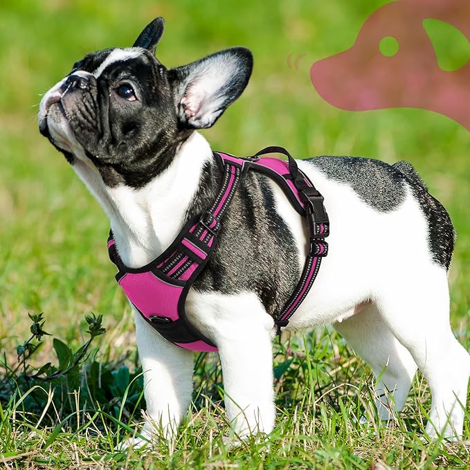 Eagloo Dog Harness Small Sized Dog, No Pull Service Vest with Reflective Strips and Control Handle, Adjustable and Comfortable for Easy Walking, No Choke Pet Harness with 2 Metal Rings, Rose Red, S