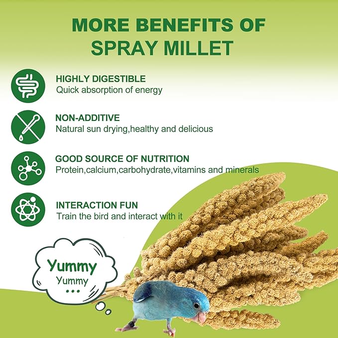 2LB Spray Millet Bird Treat for Parakeets, Natural Sun-Dried Birds Millet Spray for Parrots, Finches, Cockatiel, Budgie & Hamster, Bird Food Bulk