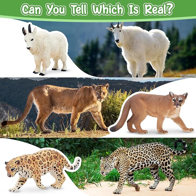 Toymany 14PCS Mini North American Forest Animals Figurines, Realistic Jungle Animal Toys Includes Elk Pronghorn Jaguar Gey Fox for Kids Adults Toddlers