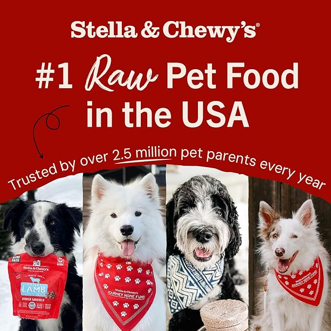 Stella & Chewy's Freeze-Dried Raw Dinner Patties - Remarkable Red Meat Blend - High Protein Grain-Free Puppy & Dog Food - Perfect For Picky Eaters - 14 oz