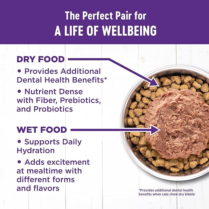 Wellness Complete Health Sliced Adult Wet Cat Food, Natural, Protein-Rich, Grain Free, 5.5 Ounce, 24 Pack, (Salmon Entrée)