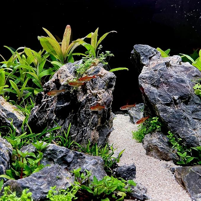 2-6 Inches Natural Seiryu Stone 4 PCS Aquarium Rocks for Aquascaping, Aquarium Landscaping, Terrariums, Fish Tank Decoration, Vivariums, Paludarium, Reptile and Amphibian Enclosures