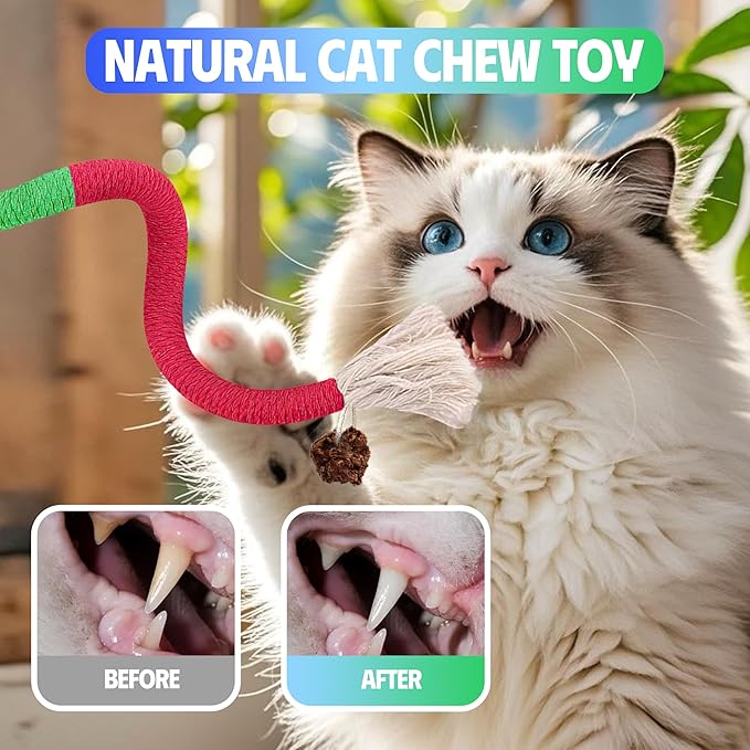 Cat Toys Chew Rope & Silvervine Sticks for Bored Indoor Adult Cats, 6Pcs Interactive Catnip Toys for Cats with Refillable Natural Catnip Bag for Teeth Cleaning