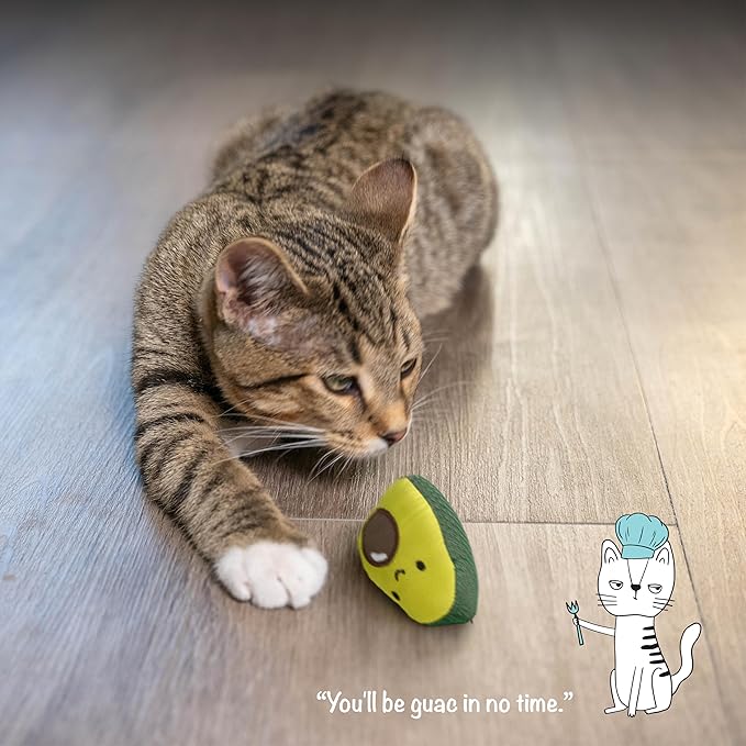 Catstages Lil' Avocato Cat Toy, Interactive Plush Avocado with Catnip, Kicker & Chew Toy for Indoor Cats, Encourages Active Play, Mental Stimulation, Dental Health, and Solo Fun, Green