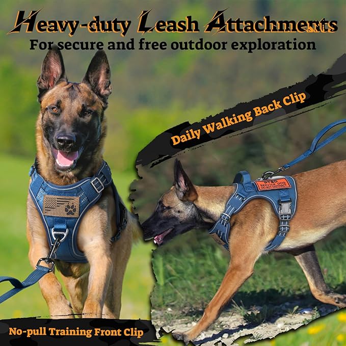 rabbitgoo Dog Harness Medium Sized No Pull, Tactical Service Pet Vest with Molle and Control Handle, Adjustable and Reflective Military Harness for Easy Walking and Training, Blue, M