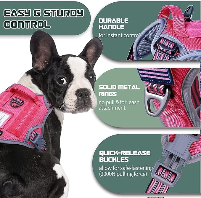BUMBIN Tactical Dog Harness for Small Dogs No Pull, Famous TIK Tok No Pull Puppy Harness, Fit Smart Reflective Pet Walking Harness for Training, Adjustable Dog Vest Harness with Handle Rose Red XS