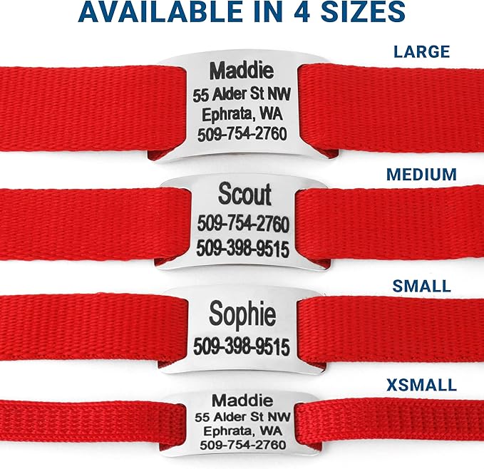 GoTags Personalized Dog Collar with Nameplate, Adjustable Dog Collar with Custom Engraved Slide On Pet ID Tag in Stainless Steel, Silent, No Noise Dog Tag for Large Medium and Small (Red, Small)