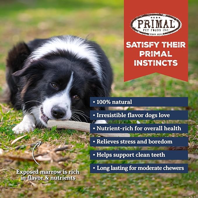 Primal Antlers for Dogs, Grade A Split Stag Antlers for Large Canines 30-45 lb, Natural Chews for Aggressive Chewers, Naturally Shed, Long Lasting Dog Bones, 1 ct