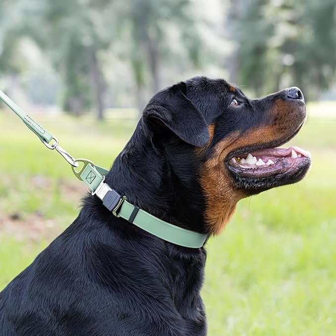 Dogline Biothane Waterproof Dog Collar with Herm Sprenger Black Stainless Steel Quick Release Buckle – Heavy Duty Tactical Durable Collar for Dogs – Comfortable, Safe Pet Collar W1 L15-25 Sage Green