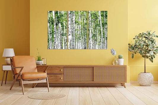 Nature Wall Art Prints - Ocean Forest Mountain Lake Canvas Landscapes - Small to Extra Large Living Room Bedroom Kitchen Bathroom Décor (Green Brich Trees, 55L" x 83W"- 3 Panels)