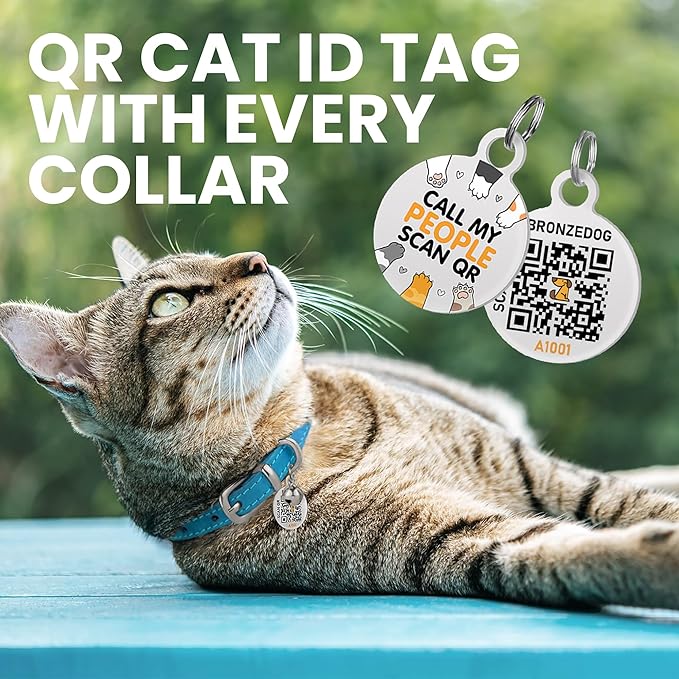 BRONZEDOG Leather Cat Collar with Removable Bells Non Breakaway Kitten QR Tag for Girl Boy (7" - 9" for Cats, Blue & Silver)