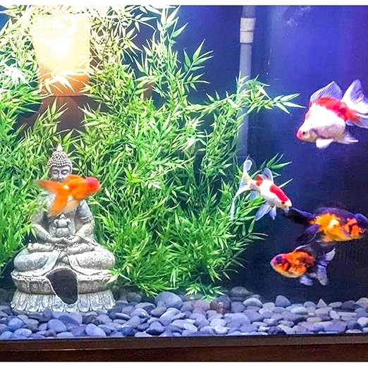 45 LB Mexican Beach Pebbles, 2-3 Inch Natural River Rocks, Premium Pebbles for Garden and Landscape Design, Decorative Stones for Fish Tank Flower Pots Water Fountains Pathways Backyard, Grey