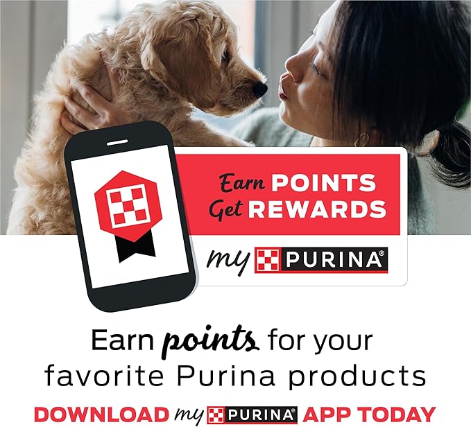 Purina Busy With Beggin' Made in USA Facilities Small/Medium Breed Dog Treats, Twist'd - (Pack of 2) 6 ct. Pouches