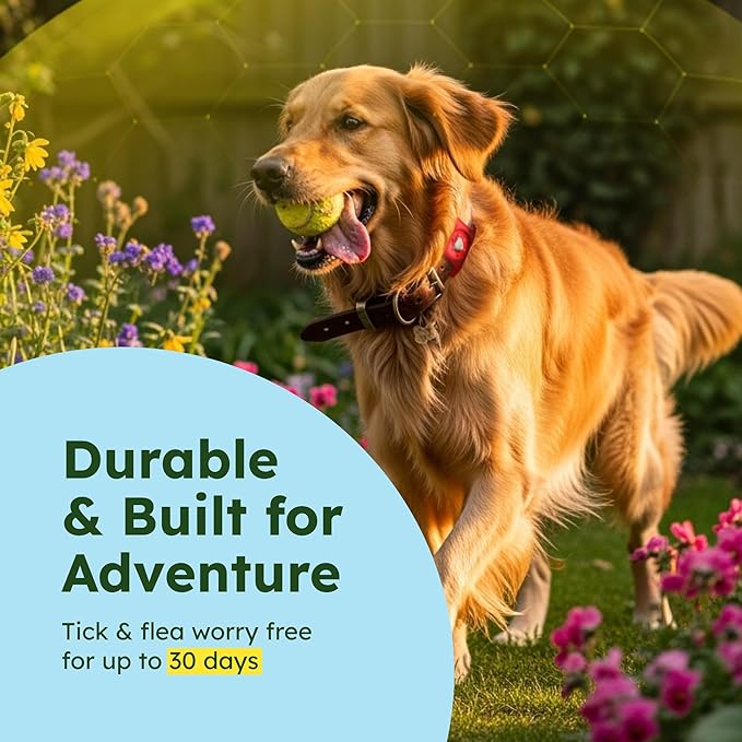 BugMD Paw Guardian Flea and Tick Prevention Pendant for Dogs with AirTag Holder | Plant-Powered Flea & Tick Control for Dog Collars Harnesses | Dog Tag with Air Tag Holder - Red