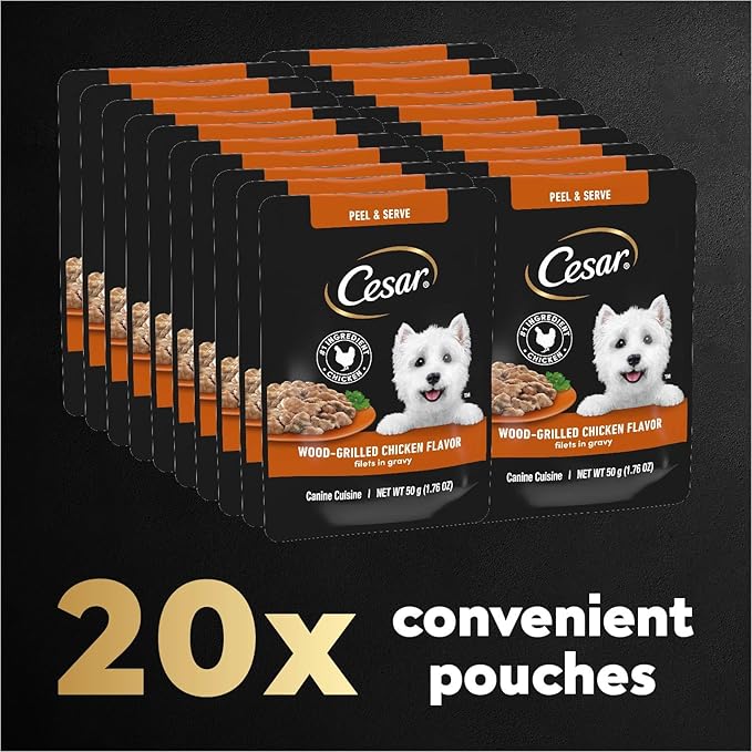 Cesar Filets in Gravy Wet Dog Food Wood-Grilled Chicken Flavor, 1.76 oz. Mini-Pouch (20 Count, Pack of 1)