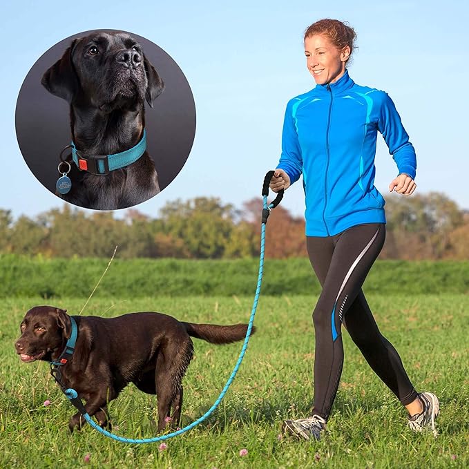 Heavy Duty Dog Leash - Comfortable Padded Handle, 5 ft Long - Dog Leashes for Small Medium Large Dogs (Leash+Collar S Neck 13.5"-16", Red)