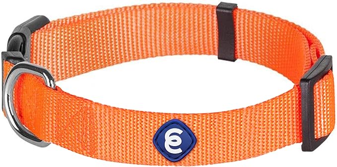 Blueberry Pet X-Small Dog Collar | Girl Dog Collars | Female Dog Collar XS | Quick Release Dog Collar | Florence Orange Nylon Dog Collar for Girl, Collar for Small Dogs