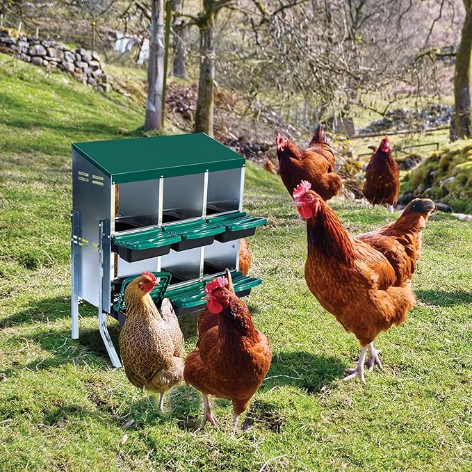 Chicken Nesting Box, 6 Hole 2 Layer Hen Nest Boxes with Legs, Roll Away Eggs Laying Boxes,Cleanable Pull Out Hen Roosting Boxes