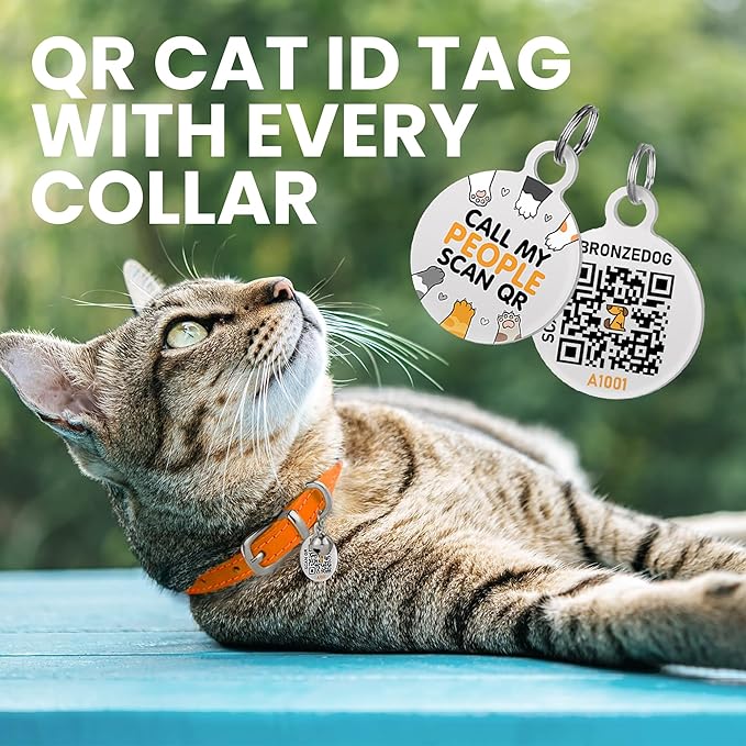 BRONZEDOG Leather Cat Collar with Removable Bells Non Breakaway Kitten QR Tag for Girl Boy (7" - 9" for Cats, Orange & Silver)