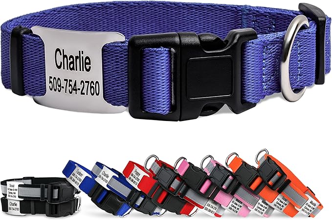 GoTags Personalized Dog Collar with Nameplate, Adjustable Dog Collar with Custom Engraved Slide On Pet ID Tag in Stainless Steel, Silent, No Noise Dog Tag (Lavender, Small)