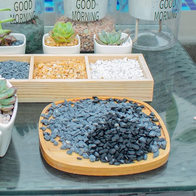 3lb Black Cactus Pea Gravel Rocks,1/4 Inch Pebbles for Indoor Plants, Natural Succulent Rock and River Rocks Decorative for Aquariums, Vases, Outdoor Gardening, Top Dressing for Potted Plants