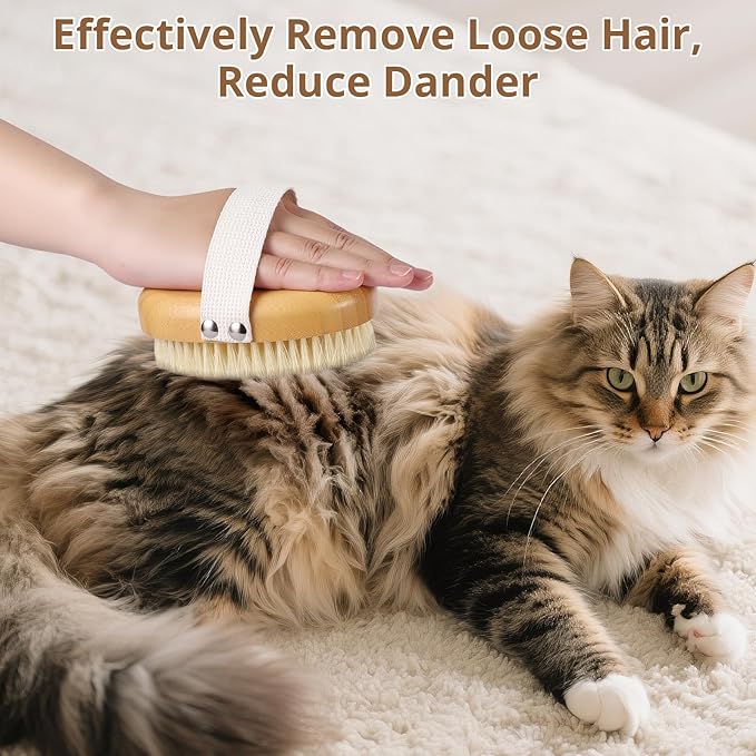 Boar Bristle Cat Brush for Indoor Cats, Cat Hair Brush Gentle Grooming, Reduce Shedding, Soft Hair and Healthy Shine, Bamboo Handheld with Soft Boar Bristles and Band for Short Haired Cats Dogs