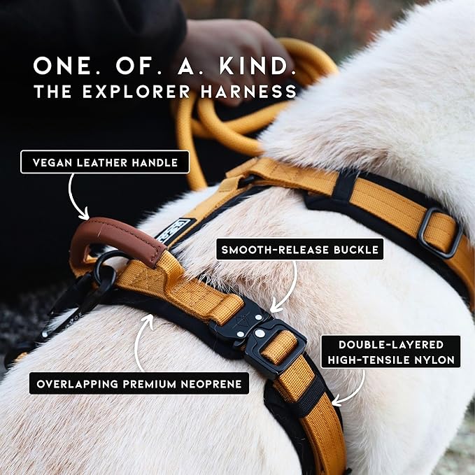 MADE TO ROAM Premium Explorer Harness - Y-Shaped Dog Harness with Adjustable Durable Nylon, Soft Padding, Metal Buckles and Leather Handle for Small, Medium, Large Dogs (Montana Moonrise, Size 1)