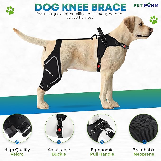 Dog ACL Knee Brace for Back Left Leg - with Integrated Harness - for Cruciate Ligament Injuries, Patellar Luxation, Post-Surgery Recovery. Durable, Breathable Material, Eases Pain - (Small)