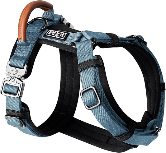 MADE TO ROAM Premium Explorer Harness - Y-Shaped Dog Harness with Adjustable Durable Nylon, Soft Padding, Metal Buckles and Leather Handle for Small, Medium, Large Dogs (California Horizon, Size 1)