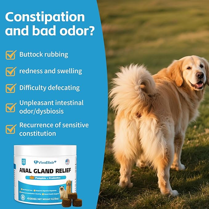 Cat Constipation Relief - Chewable Tablets - with Pumpkin, Psyllium Husk, Prebiotics & Probiotics - Supports Gut Hydration, Bowel Regularity & Immune Health - 120 Tablets