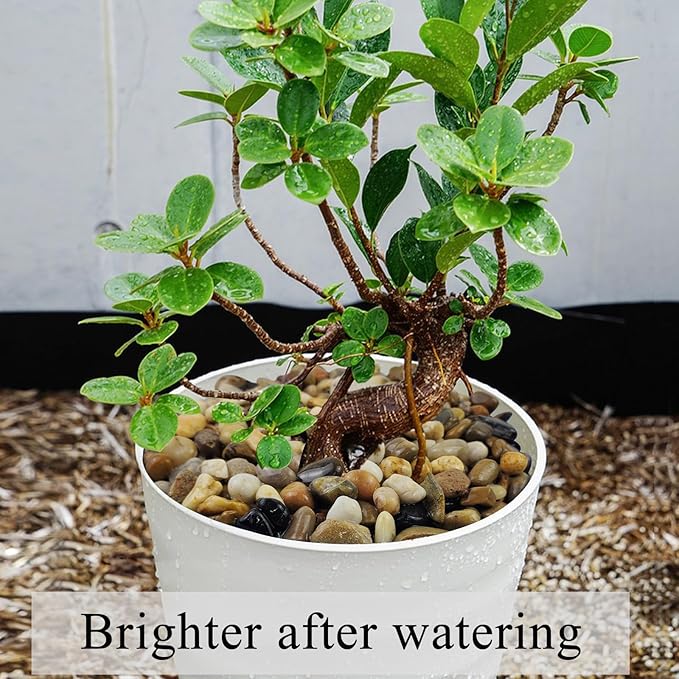 20 lbs Pea Gravel Pebbles for Indoor Plants, 2/5 Inch Mixed Color River Rocks for Aquarium, Succulent, Vase, Bonsai, Garden, Plant Soil Cover and Outdoor Landscaping Rocks