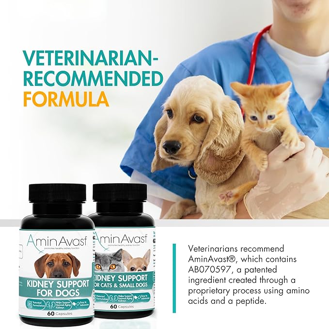 AminAvast Small Dogs & Cat Kidney Support - Promotes Healthy Kidney Support in Cats & Small Dogs - 300mg, 60 Capsule