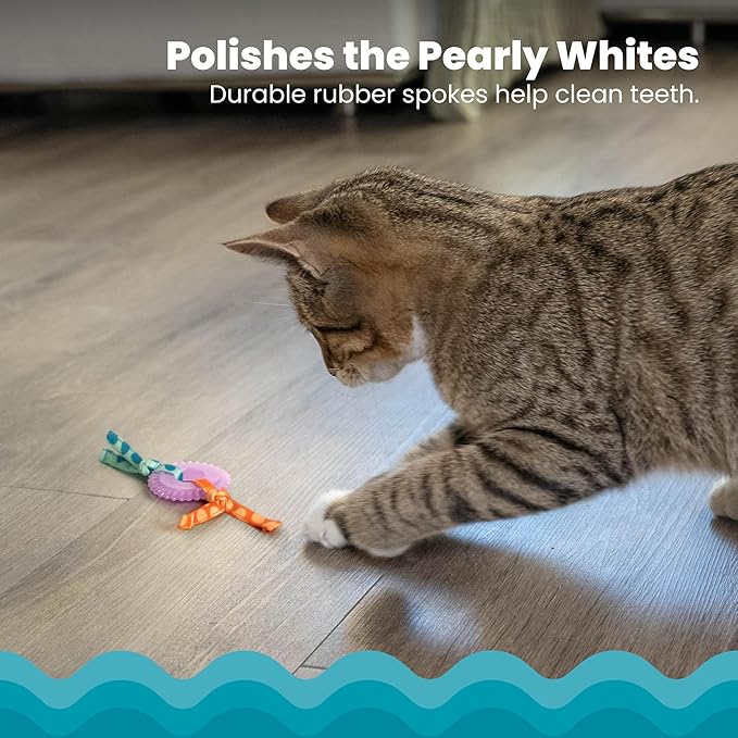 Catstages Kitty Chew Wheel, Dental Cat Toy with Catnip Oil, Teeth Cleaning, Healthy Chewing, Boredom Relief, Kicking & Batting for Kittens and Adult Cats, Purple