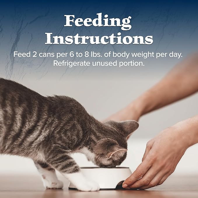 Blue Buffalo Wilderness Natural High-Protein Grain-Free Wet Food for Adult Cats, Duck Paté, 3-oz. Cans, 24 Count