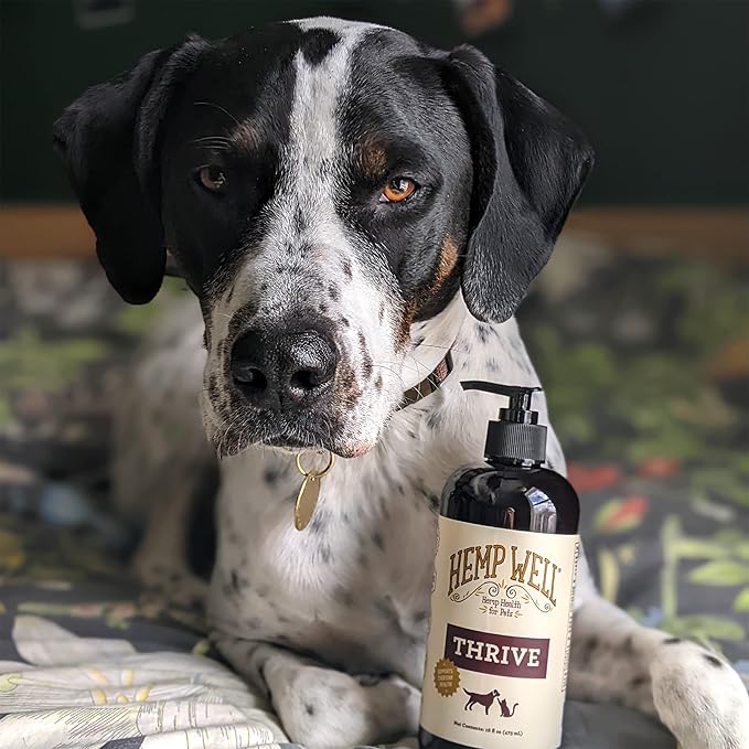 Hemp Well Thrive Oil for Dogs and Cats – Supports Hip, Joint, and Heart Health, Promotes Immune System, and Promotes Healthy Skin from Seasonal Allergies, Organically Sourced - 16 Ounces