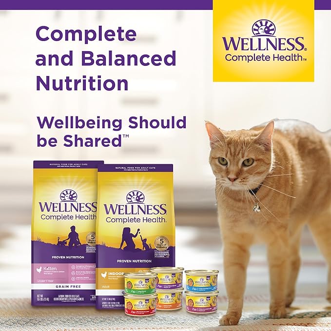 Wellness Complete Health Pate Adult Wet Cat Food, Natural, Protein-Rich, Grain Free, 5.5 Ounce, 24 Pack, (Turkey & Salmon)