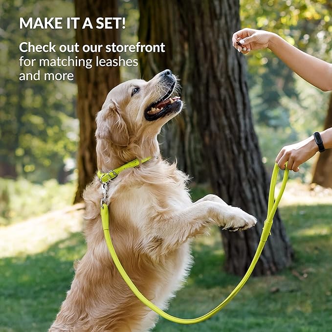 CollarDirect Rolled Leather Dog Collar, Soft Padded Round Puppy Collar, Handmade Genuine Leather Collar Dog Small Large Cat Collars 13 Colors (6 Inch, Lime Green Smooth)