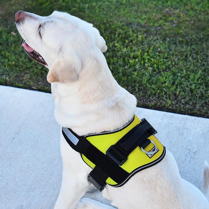 Dogline Dog Harness, Reflective No-Pull Adjustable Vest with Handle for Walking, Training, Breathable, No - Choke Harness for Small, Medium or Large Dogs Room for Patches Girth 33"-46" in Lime Green
