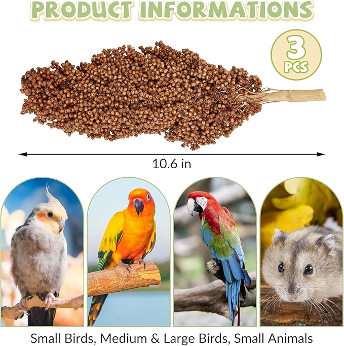 Fhiny Millet Spray for Birds, 3 PCS Natural Sun-Dried Red Sorghum Grain for Birds Seed Original Parrot Treats & Supplement Parakeet Food for Cockatiels Lovebirds Finches Budgies Pigeons Hamsters