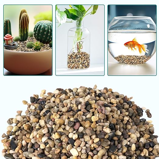 2.5 lbs Small Rocks for Plants, 1/5 Inch Gravel for Plants Drainage, Decorative Potting Pebbles for Indoor Plants, Vases, Bamboo, Succulent, Terrarium, Crafts, Cactus