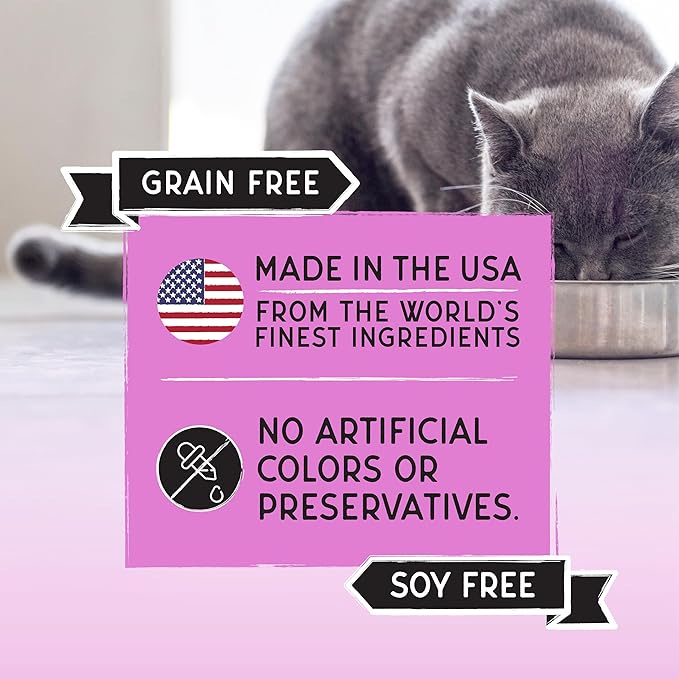 Blackwood Bounty Dry Cat Food, Red Meat Recipe for All Life Stages, 4.5 Pound Bag, High Protein, Grain Free