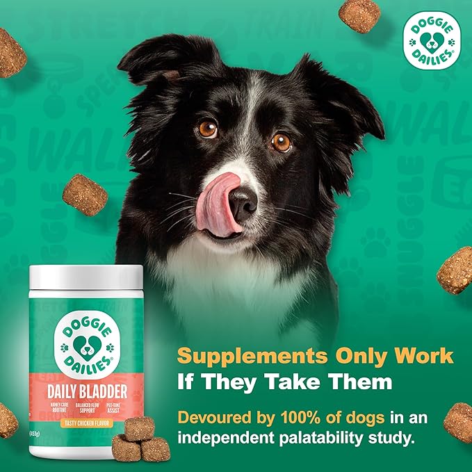 Doggie Dailies Cranberry Supplement for Dogs - Urinary Tract, Bladder & Kidney Support for Dogs - Cranberry for dogs with Marshmallow Root, Licorice Root & Apple Cider Vinegar (Chicken) 225 Soft Chews