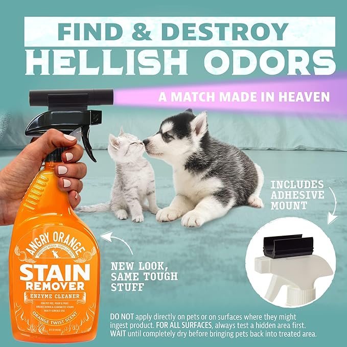 ANGRY ORANGE Pet Stain Remover Kit for Dog Urine - Enzyme Cleaner - Citrus - 32 oz + UV Flashlight