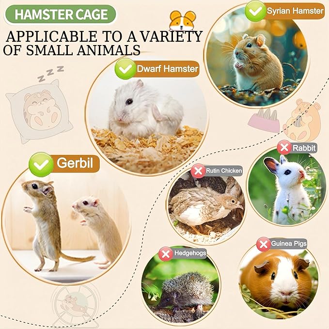 8 in 1 Clear Acrylic Hamster Cage with All Accessories,13.5''L* 10''W* 13''H Dwarf Hamster Cage,Small Hamster Habitat,Garden Style Mouse Cage for Pet Mice,Hamster Enclosure with Stairs(1-Layer)