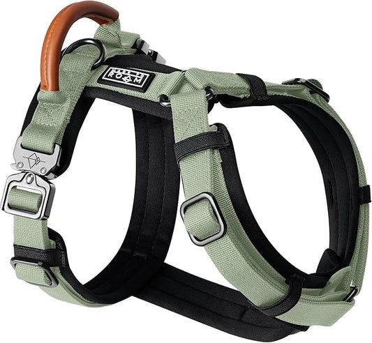 MADE TO ROAM Premium Explorer Harness - Y-Shaped Dog Harness with Adjustable Durable Nylon, Soft Padding, Metal Buckles and Leather Handle for Small, Medium, Large Dogs (Washington Rain, Size 3)